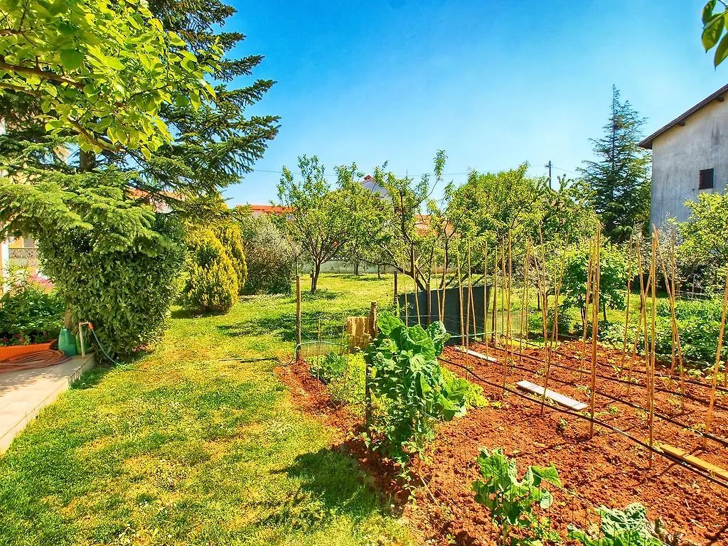מדולין Apartments Valeria 1334