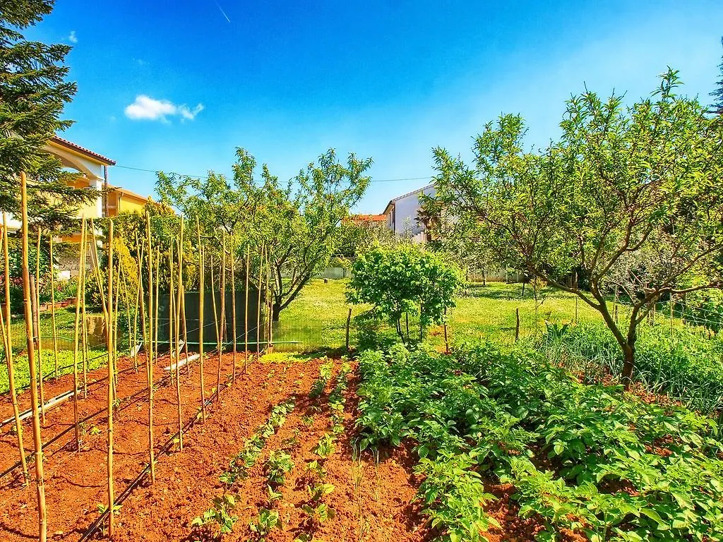 מדולין Apartments Valeria 1334